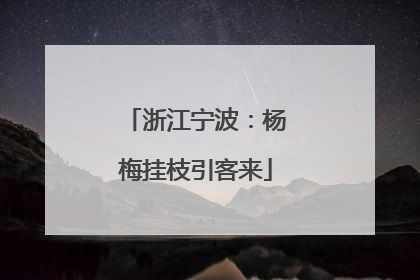 浙江宁波：杨梅挂枝引客来