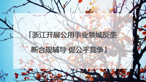 浙江开展公用事业领域反垄断合规辅导 促公平竞争