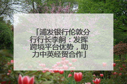 浦发银行伦敦分行行长李舸：发挥跨境平台优势，助力中英经贸合作