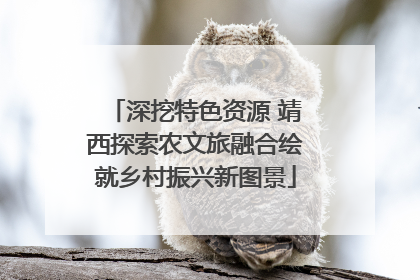 深挖特色资源 靖西探索农文旅融合绘就乡村振兴新图景
