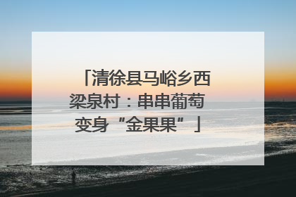 清徐县马峪乡西梁泉村：串串葡萄变身“金果果”