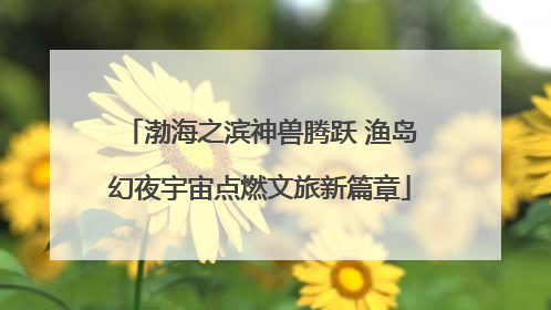 渤海之滨神兽腾跃 渔岛幻夜宇宙点燃文旅新篇章