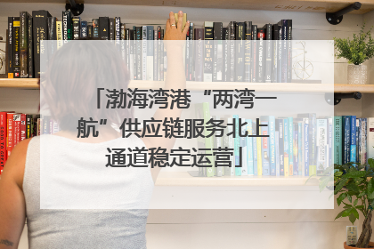 渤海湾港“两湾一航”供应链服务北上通道稳定运营