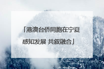 港澳台侨同胞在宁夏感知发展 共叙融合