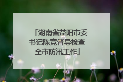 湖南省益阳市委书记陈竞督导检查全市防汛工作