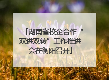 湖南省校企合作“双进双转”工作推进会在衡阳召开