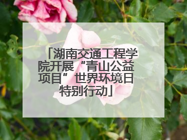 湖南交通工程学院开展“青山公益项目”世界环境日特别行动
