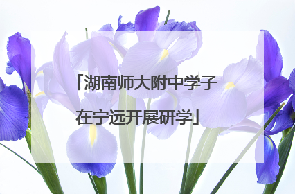 湖南师大附中学子在宁远开展研学
