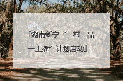 湖南新宁“一村一品一主播”计划启动