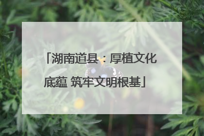 湖南道县：厚植文化底蕴 筑牢文明根基