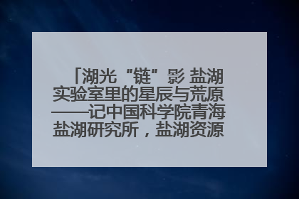 湖光“链”影 盐湖实验室里的星辰与荒原——记中国科学院青海盐湖研究所，盐湖资源化学实验室党总支书记、副主任刘忠