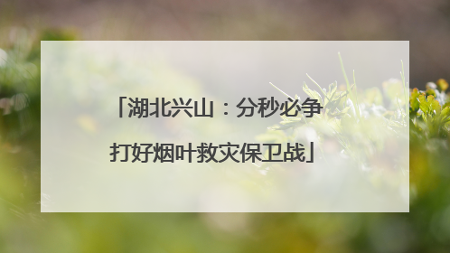 湖北兴山：分秒必争 打好烟叶救灾保卫战