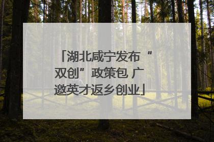 湖北咸宁发布“双创”政策包 广邀英才返乡创业
