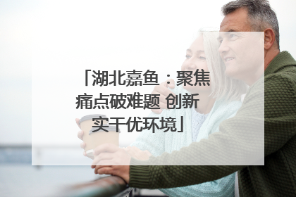 湖北嘉鱼：聚焦痛点破难题 创新实干优环境