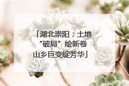 湖北崇阳：土地“破局”绘新卷 山乡巨变绽芳华