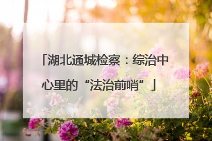 湖北通城检察：综治中心里的“法治前哨”