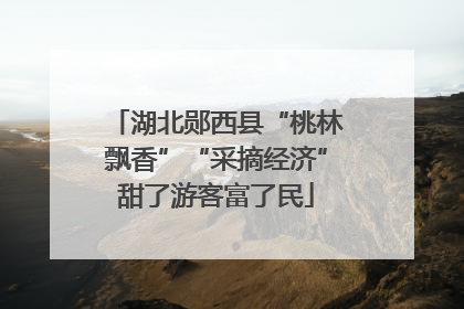 湖北郧西县“桃林飘香”“采摘经济”甜了游客富了民