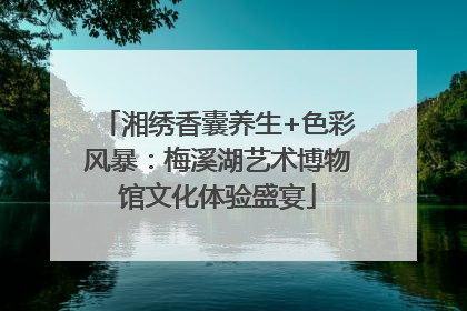 湘绣香囊养生+色彩风暴：梅溪湖艺术博物馆文化体验盛宴