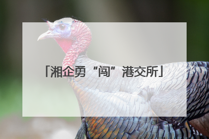 湘企勇“闯”港交所