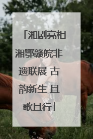湘剧亮相湘鄂赣皖非遗联展 古韵新生 且歌且行