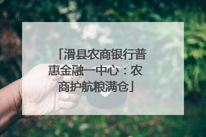 滑县农商银行普惠金融一中心：农商护航粮满仓