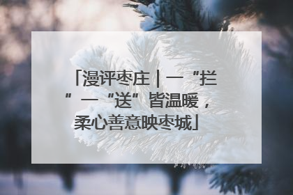 漫评枣庄｜一“拦”一“送”皆温暖，柔心善意映枣城
