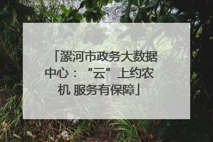 漯河市政务大数据中心：“云”上约农机 服务有保障
