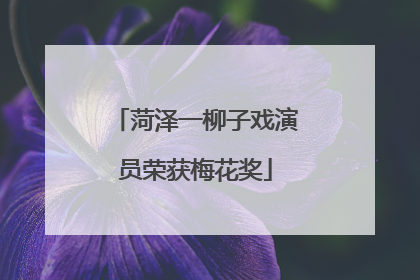 菏泽一柳子戏演员荣获梅花奖