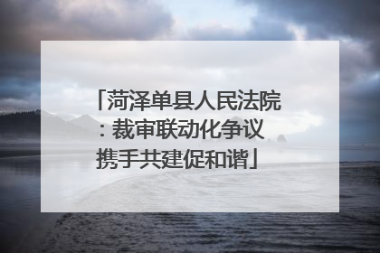 菏泽单县人民法院：裁审联动化争议 携手共建促和谐