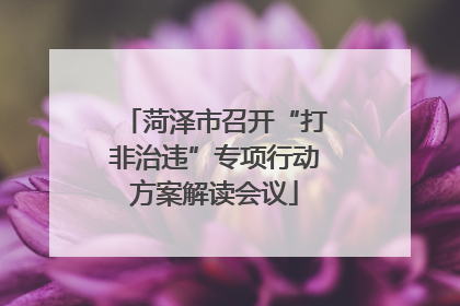 菏泽市召开“打非治违”专项行动方案解读会议