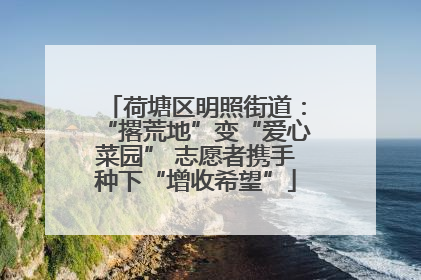 荷塘区明照街道：“撂荒地”变“爱心菜园” 志愿者携手种下“增收希望”