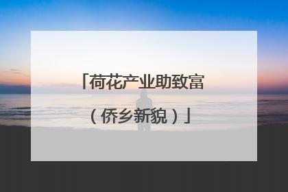 荷花产业助致富（侨乡新貌）