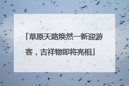 草原天路焕然一新迎游客，吉祥物即将亮相