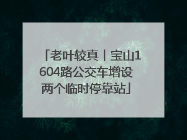 老叶较真丨宝山1604路公交车增设两个临时停靠站