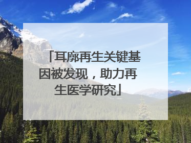 耳廓再生关键基因被发现，助力再生医学研究