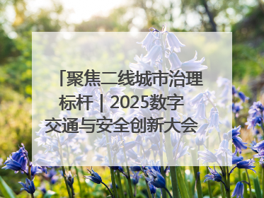 聚焦二线城市治理标杆｜2025数字交通与安全创新大会在保定隆重开幕