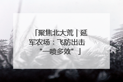 聚焦北大荒｜延军农场：飞防出击 “一喷多效”