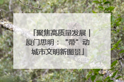 聚焦高质量发展｜厦门思明：“带”动城市文明新图景