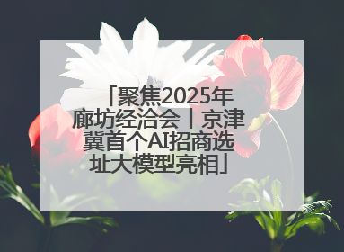 聚焦2025年廊坊经洽会丨京津冀首个AI招商选址大模型亮相