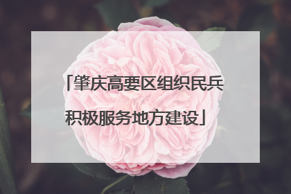 肇庆高要区组织民兵积极服务地方建设