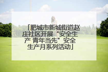 肥城市新城街道赵庄社区开展“安全生产 青年当先”安全生产月系列活动