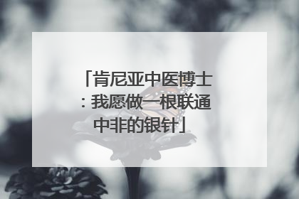 肯尼亚中医博士：我愿做一根联通中非的银针