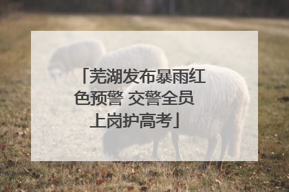 芜湖发布暴雨红色预警 交警全员上岗护高考