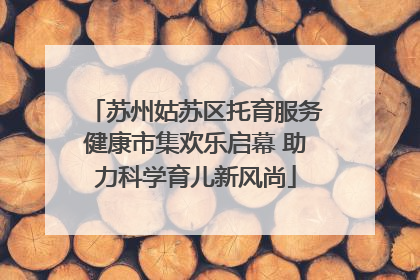 苏州姑苏区托育服务健康市集欢乐启幕 助力科学育儿新风尚