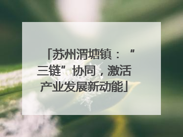 苏州渭塘镇：“三链”协同，激活产业发展新动能