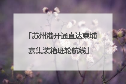 苏州港开通直达柬埔寨集装箱班轮航线