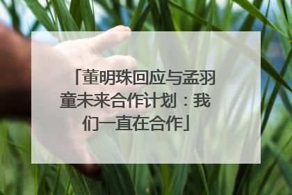 董明珠回应与孟羽童未来合作计划：我们一直在合作