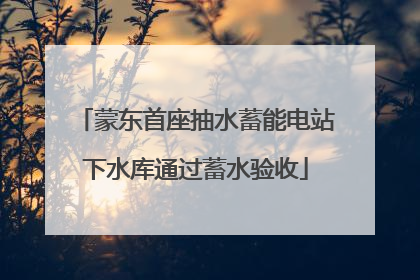 蒙东首座抽水蓄能电站下水库通过蓄水验收