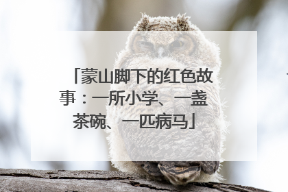 蒙山脚下的红色故事：一所小学、一盏茶碗、一匹病马