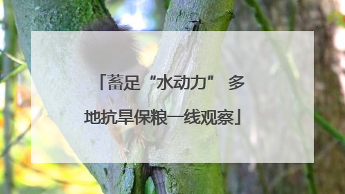 蓄足“水动力” 多地抗旱保粮一线观察